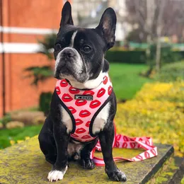 الياقات الكلاب Leasesh Ins Mesh Pet Dog Harness Leash مجموعة متوسطة صغيرة جديدة شفة وردية جديدة Frenchie Pug Lips Red Lips Pet Harness Vest Leash Summer T221212