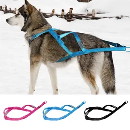 Hundhalsar Leashes Winter Pet släde sele reflekterande hundar Vikt Pullande sele varm vadderad för hundträning Träning Skijoring Scootering T221212