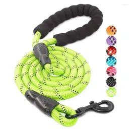 犬の首輪cenkinfo快適なパッド入りのハンドルと小さな中程度の大きな犬用の強い反射的な糸を備えた強い鎖