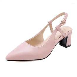 Dress Shoes Big Size 9 10 11 12 13 14 15 16 17 Ladies High Heels Women Woman Pumps Tip-toed Rear Tripper With Heavy Heel Single Shoe