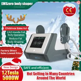 Christmas Shopping Spree DLS-EMSlim Slimming Machine Electromagnetic Muscle Stimulate Body EMSzero Contouring Sculpting Equipment With RF