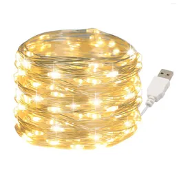Cordas 1/2/5/10m Luzes de fada LED Fireira de cobre String Holiday Outdoor Lamp Grus