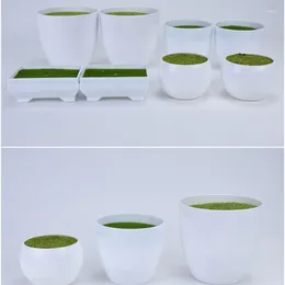 Decorative Flowers 1Pc Multistyle Mini Imitation Square Round Planter Plastic White Pots Creative Small For Succulent Plant Garden