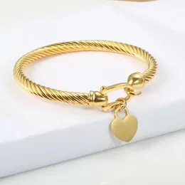 18K gold bracelets bangle cable wire golden silver rose color love heart charm bangles bracelet with hook closure for women men designer wedding jewelry gifts