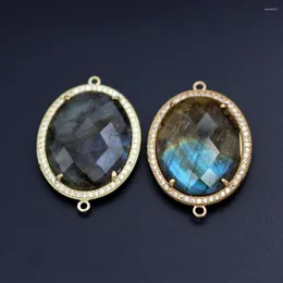 Pendant Necklaces 6pcs Oval Round Irregular Natural Labradorite Stone Connectors Gold Plated CZ Paved Charms For DIY Women Dangle Earring