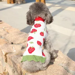 개 의류 스웨터 사랑스러운 니트 빨간 딸기 녹색 밑단 아크릴 섬유 소프트 질감 겨울을위한 하얀 애완 동물 옷