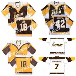 College Hockey Veste Vintage Dusters Hockey Jersey 42 Jim OBrien 7 Goldthorpe 18 Brian Lee Binghamton Broome Bordado Costura Jerseys Nome personalizado e número