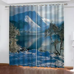Curtain Po Blue Scenery Curtains 3D Printing Blockout Polyester Drapes Fabric Cortinas