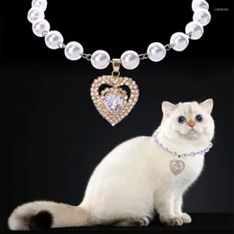 Abbigliamento per cani Moda Collare per animali Cucciolo Gatto Collana di perle Accessori da sposa Amore Diamante Animali domestici Cani Gatti Caviglie Gioielli