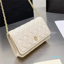 Designer-Fashion Luxury Purse Designer Bags Brand Handbags Labmskin Leather Cosmetic Shoulder Bag Crossbody Tote Messager Wallet Purses Envelope bag dq01 065