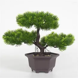 Fiori decorativi Bonsai di pino artificiale che accolgono piante di albero di cedro realistiche Decorazione domestica in vaso Forniture per feste El Po Prop