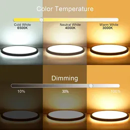 LED -runda taklampor dubbelsidig belysning med fjärrkontroll Dimbar RGB bakgrundsbelysning för sovrum kök vardagsrum festarmaturer matsal