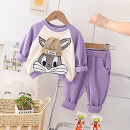 Sonbahar Bebek Giysileri Kıyafetler Bebek Erkek Kız Giyim Setleri Çocuklar T Gömlek Pantolon 2 Adet Takım Elbise Karikatür Bunny Çocuk Spor