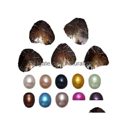 Pastas de pedras soltas possuem certificado de identificação oval oval pérola 710mm 20 mistura de água doce presente de dIY decorações DIY Vacu Dhc4b