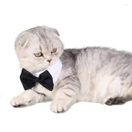 Köpek Giyim Ayarlanabilir Evcil Hayvanlar Cat Bow Tie Pet Kostüm Kravat Yakası Yavru Köpek Tımarlama Aksesuarları Küçük Köpekler Eşarp