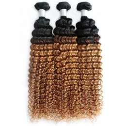 Peruvian Indian Kinky Curly Double Wefts 1B/30 Ombre Color Brazilian 100% Human Virgin Hair 10-34inch 3 Bundles