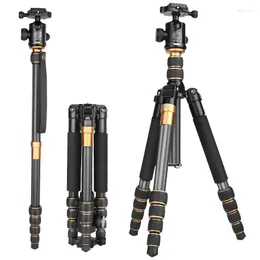 Stativ Q666 Professionell DSLR -kamera TIEMinumlegering Travel Portable L￶stagbar monopod 62'Inch 360 graders bollhuvud