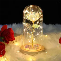 Gece Işıkları Anneler Günü Çiçek Hediyeleri Renkli Yapay Çiçek Galaxy Gül Kızı Cam Dome'da Led Işık