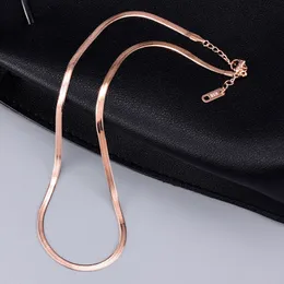 Hip Hop 316l Titanium Steel Rose Gold Chain Snake Halsband Designer Sydamerikanska kvinnliga Chokers 18K Guld Kortkedjor Halsband för Women Party Punk Jewelry 45cm