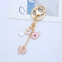 Peach Blossom Rabbit Keychain Love Powder Rabbit Airpods Protective sleeve pendant Birthday Gift Christmas Present