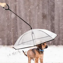 Hundkläder husdjur paraply transparent pe små regnutrustning med leads håller torrt bekväm i snöning användbar