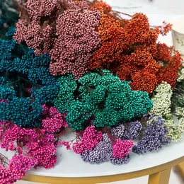 Flores decorativas naturais de bouquet de flor de milho reais naturais acessórios de resina diy para peças centrais decoração em casa festa