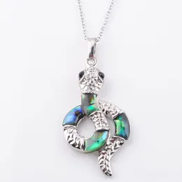 Colorido colorido da Nova Zel￢ndia A abalone p￩rola colar de pingente de pingente de cobra Mulheres homens Charmos Reiki J￳ias N3647