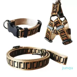 Lyxiga hundhalsband koppel Set Designer hundkoppel Säkerhetsbälten Djurhalsband och husdjurskedja för små medelstora hundar Katt Chihuahuapudel Bulldog Corgi Mops