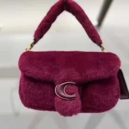 Bolsas de ombro lã mulheres 2022 Novo outono versátil comprimido comprimido pequeno design de cordeiro um vermelho profundo