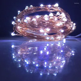 Stringhe 3 Decorazione della luce della stringa del LED a batteria per la casa interna Luci natalizie Striscia Ghirlanda esterna Colore bianco 5M 10M