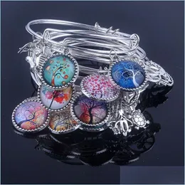 Bracciale 18 stili Cabochon Dome Tree Of Life Bracciale con ciondoli Braccialetti regolabili espandibili in filo per le donne Gioielleria raffinata B013 Dr Dholv