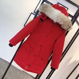 Женщины дизайнерские куртки Puffer Parkas Winter Long Down Pater с буквами Значков теплые палаты для ветров