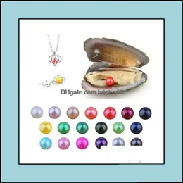 Perle Perle Lose Perlen Schmuck Großhandel DIY Akoya Auster 68 mm rund in Austernschale mit farbigen Perlen von vakuumverpackt Drop Deli Otes2