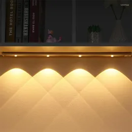 أضواء ليلية مصباح LED رفيع للغاية 20/30/40/60 سم مصباح خزانة PIR مستشعر Motion Motion Wireless USB الإضاءة المطبخ القابل لإعادة الشحن