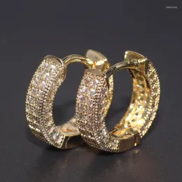 Hoop Earrings Women's Men's Hypoallergenic Inlaid Cz Gemstone Gold Color Hip Hop Rock Party Jewelry Gifts