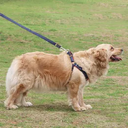 Collari per cani Collare da cowboy e imbracature da traino Guinzagli al guinzaglio Set cose per cani Imbracatura senza tirare Forniture per razze di piccole dimensioni Petto grande