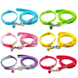 Dog Collars 24 Sets Cat Collar Leash Adjustable Pet Traction Color Halter Cats Personalized Products Walking Belt