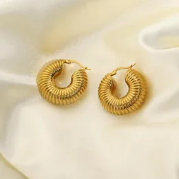 Boucles d'oreilles créoles petites et épaisses pour femmes, en acier inoxydable, Tube vide, créoles texturées, argent léger