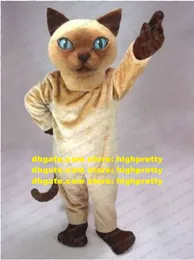 Cute Brown Siamese Cat Mascot Costume Mascotte Kitten Moggie com olhos azuis Brilhantes Mãos marrons escuros Pés adultos No.1612 Navio livre