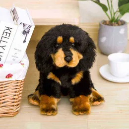 Söt simuleringshundplyschleksaker Tibetan Mastiff Kids Dolls Livtrodukade Peted Pet Toys Soft Shop Decoration Toys for Ldren Kids J220729