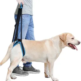 Устойчивая стропа Dog Litting Harness помогает собакам с ограниченной подвижностью слабые передние задние ножки встать альтернативу Dog Cheel Ankely 2010243i