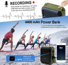 Original voice amplifier 2025 shidu