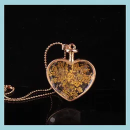 Подвесные ожерелья цветочные ожерелье Сердце подвески ароматерапевтические ожерелья для ювелирных украшений сухие цветы на каплю бутылки с валиком DH9ZX