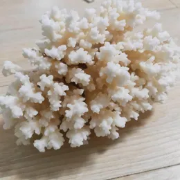 Dekorativa figurer 1st Naturligt vitt korallkluster kristall akvarium landskapsarkitektur ornament dekorationum revprov heminredning g￥va