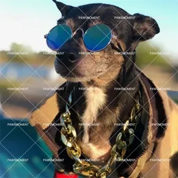 Köpek Giyim Moda Evcil Hayvan Giysileri Küçük Giysiler Fransız Bulldog Nakış Aksesuarları Chihuahua Hoodies S-2XL PC1310 221109