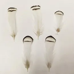 Headpieces Whosale 200Pcs/Lot 6-10 CM LOOSE Lady Amherst Pheasant Tippet Feathers For Wedding Hats DIY Hair Accessories