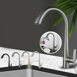 Kitchen Faucets Water Tap And Cold Faucet Gourmet Taps Gun Gray Pull Out Sprayer Flexible Accessories 304 Stainless Steel