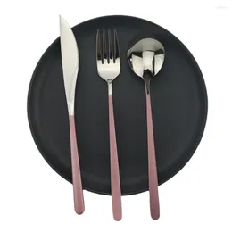 Dinnerware Conjunta de 3 peças coreano colorido colorido silver rosa e ecológico