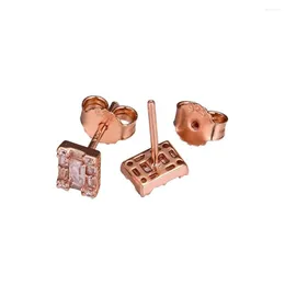 Stud Küpe Sterling-Silver-Jewelry Gül Aydınlık Küpe 925 Gümüş Takı Kadınlar için