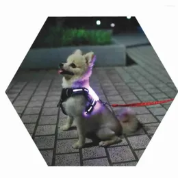 Dog Collars USB充電/Better LED Collar Anti-Lost/disa dogs luminous flusectenct pet suppliesのための自動車事故を避ける